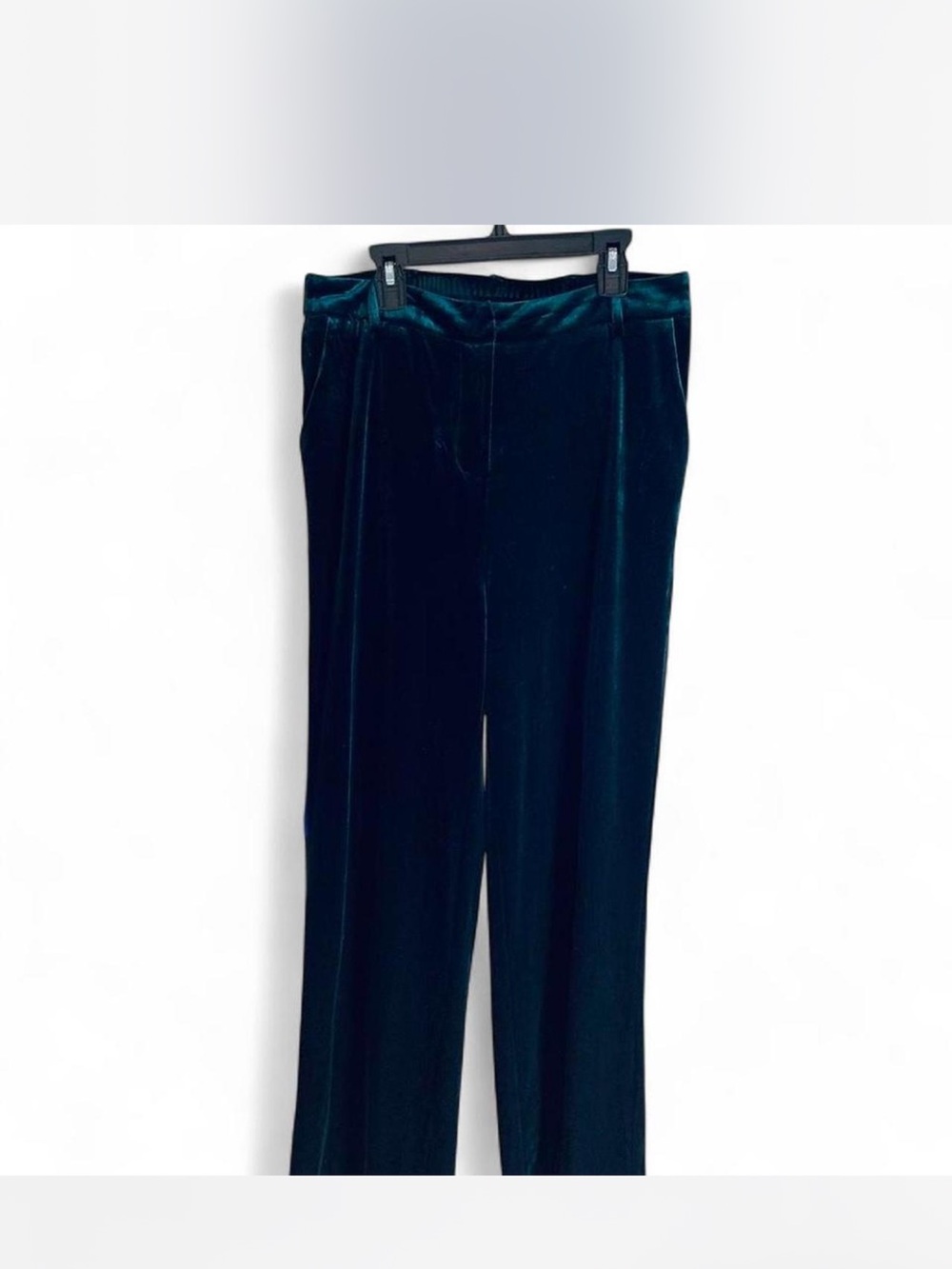Glamorous Skies Are Blue teal Velvet Pants size M